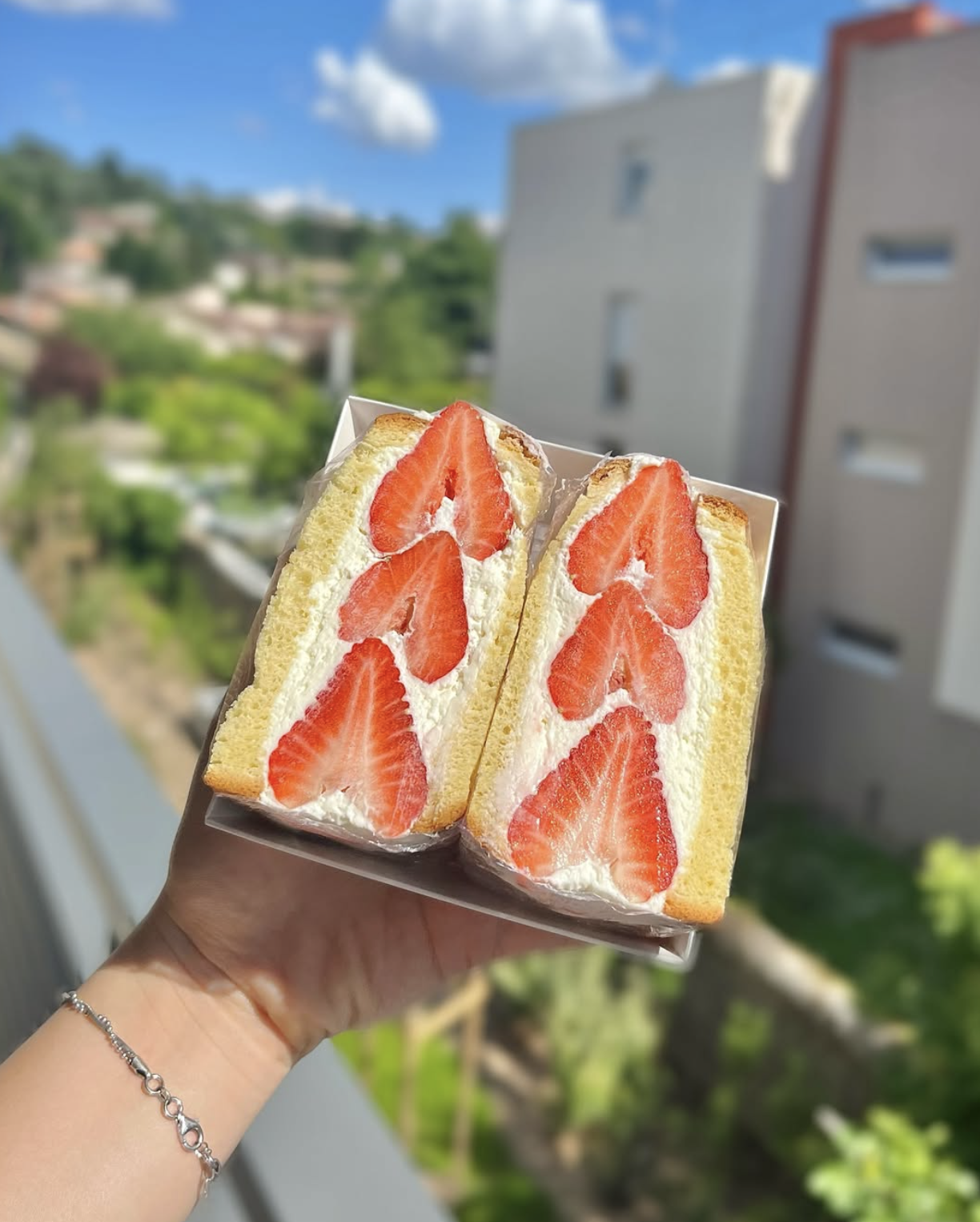 Ichigo Sando Maison — Fuwa x Fuwa Lyon