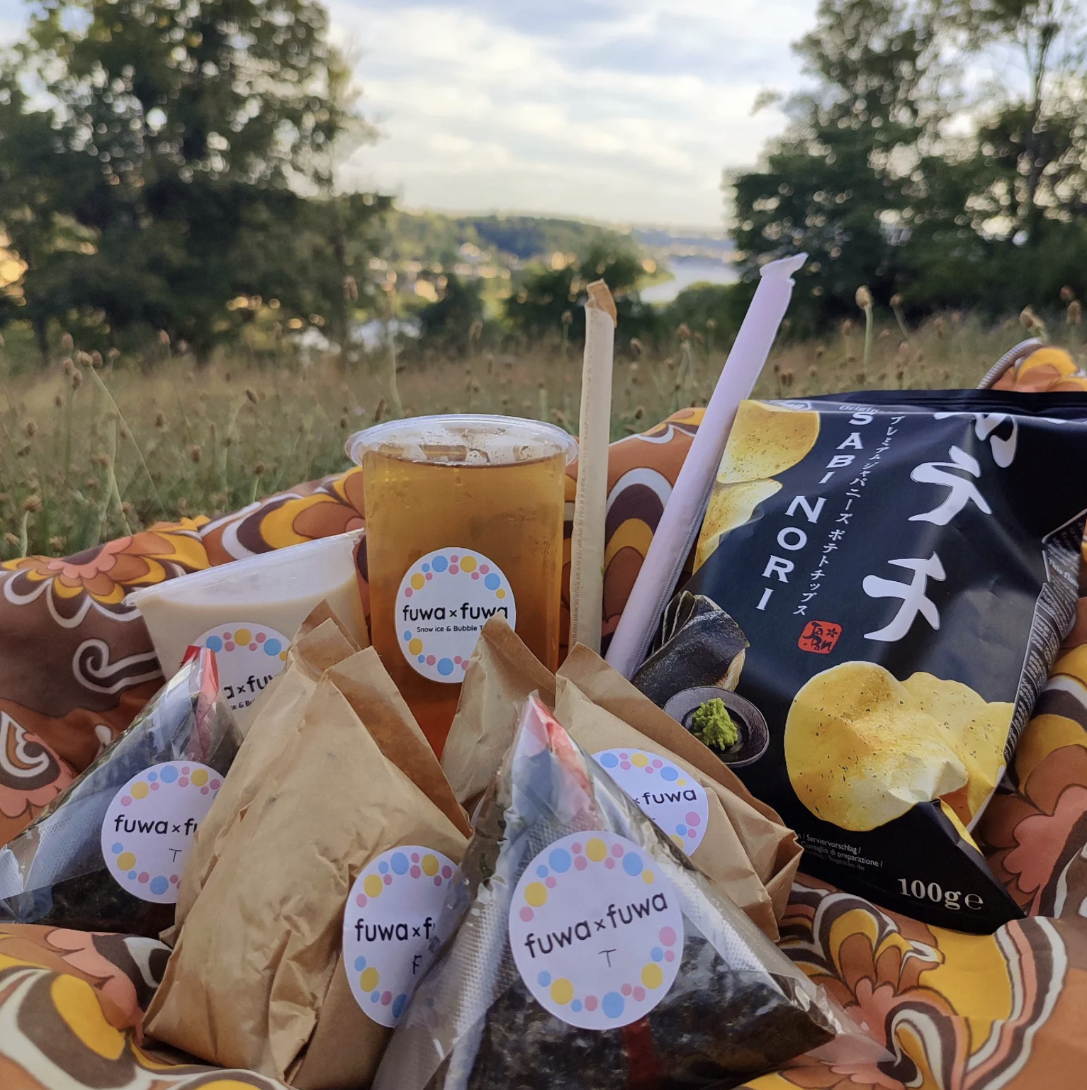 Picnic — Fuwa x Fuwa Lyon